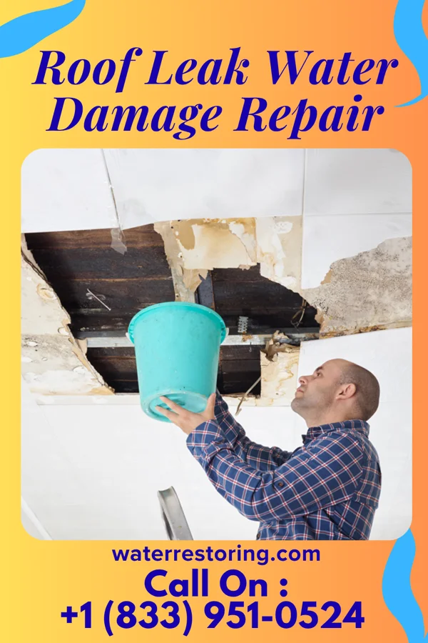 Roof Leak Water Damage Repair in Brownsville, TN
