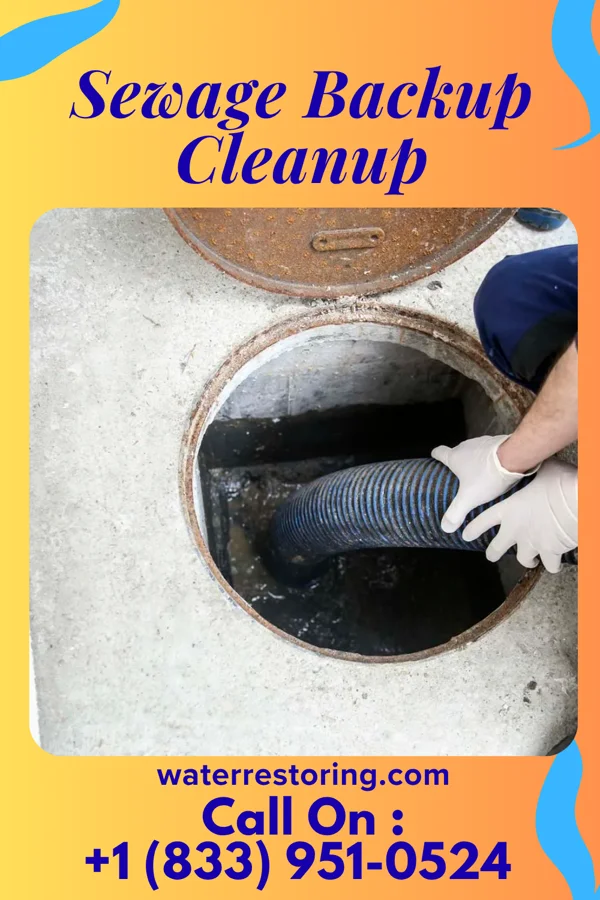 Sewage Backup Cleanup in Brownsville, TN